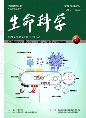 生命科学封面